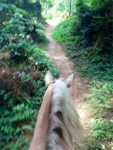 Vashon Island horseback riding. Tours. Explore Vashon