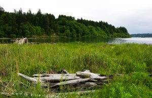 Lisabeula beach park on Vashon Island Washington