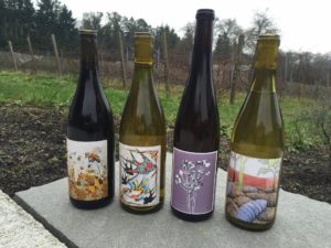 Alli Lanphear Vineyard & Winery - Vashon Island