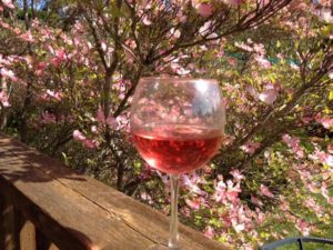 Maury Island Winery glass of wine - Vashon Island WA