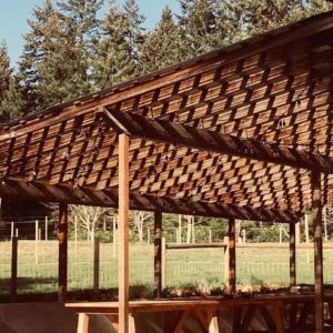 Nashi Orchards Vashon Island - Events