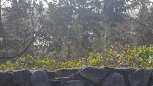 Inspiration Point - Vashon Island Views