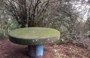 Inspiration Point Vashon Island - Stone Table