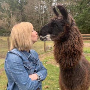 Vashon Island Llamas - kids, families, adults